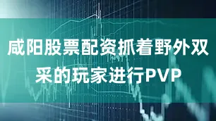 咸阳股票配资抓着野外双采的玩家进行PVP