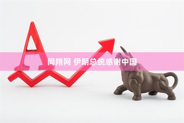 同翔网 伊朗总统感谢中国